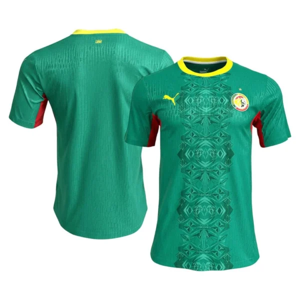 Senegal Away World Cup 2026 Soccer Jersey - Player version